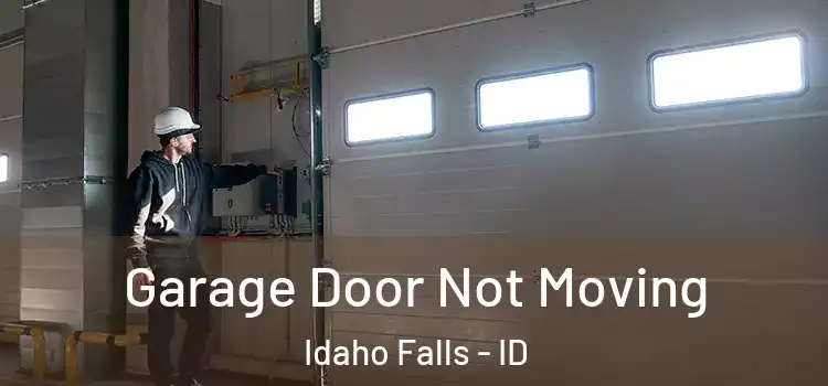  Garage Door Not Moving Idaho Falls - ID